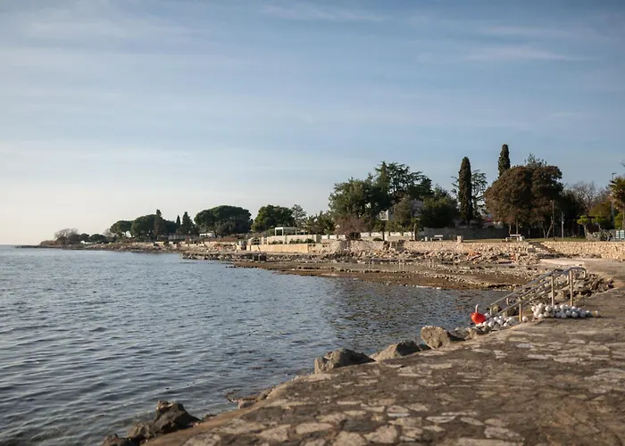 A&v * Novigrad (Istria)